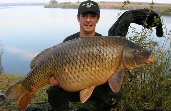 Crapii de la Tancabesti